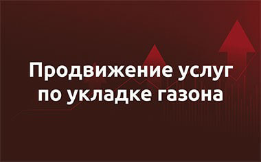Кейс – рулонные газоны